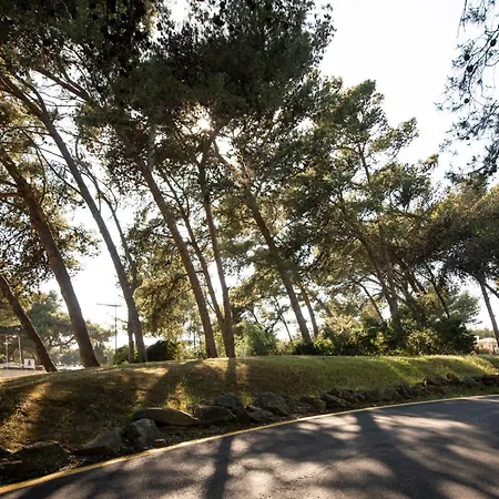 Acqua De Lägenhet *